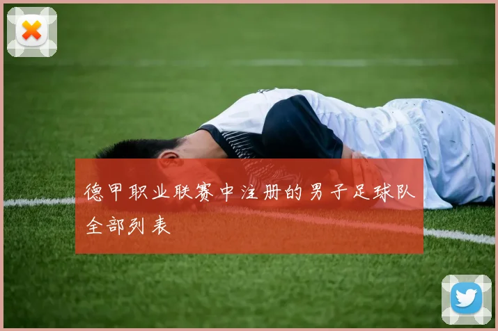 德甲职业联赛中注册的男子足球队全部列表