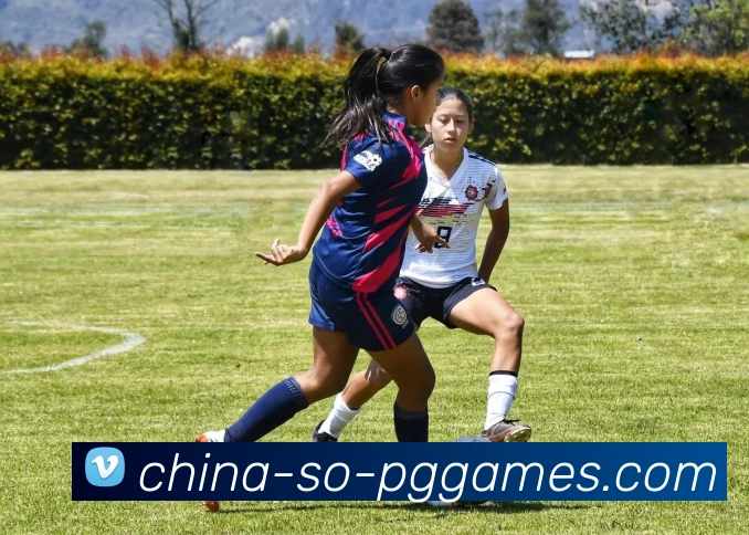 PG模拟器品牌故事